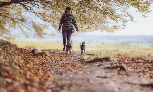 Tierschutzhunde – mein tiefstes Warum