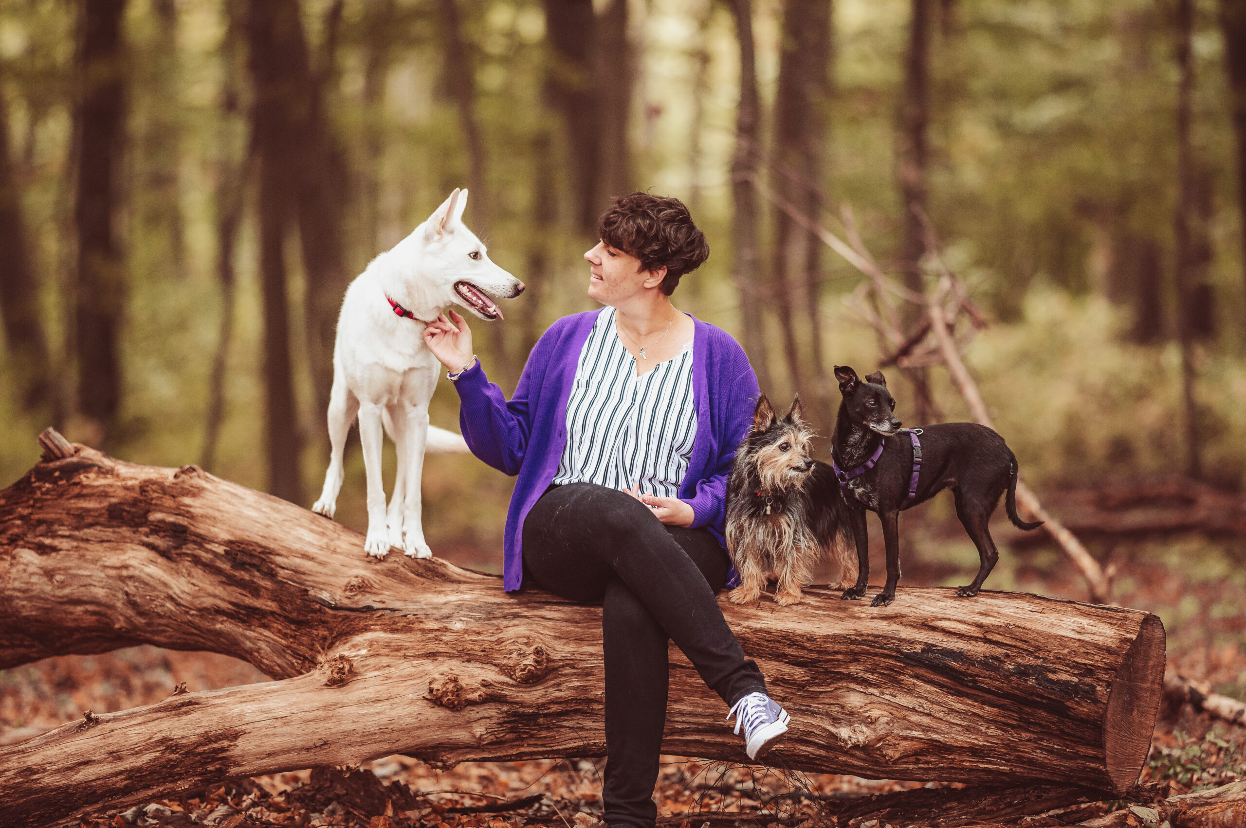 Bedürfnisorientiertes Hundetraining beginnt bei dir